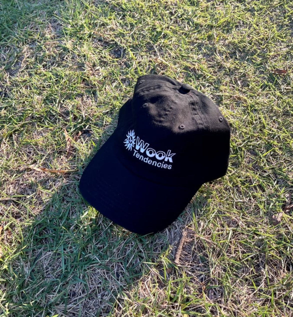 Wook Tendencies Hat