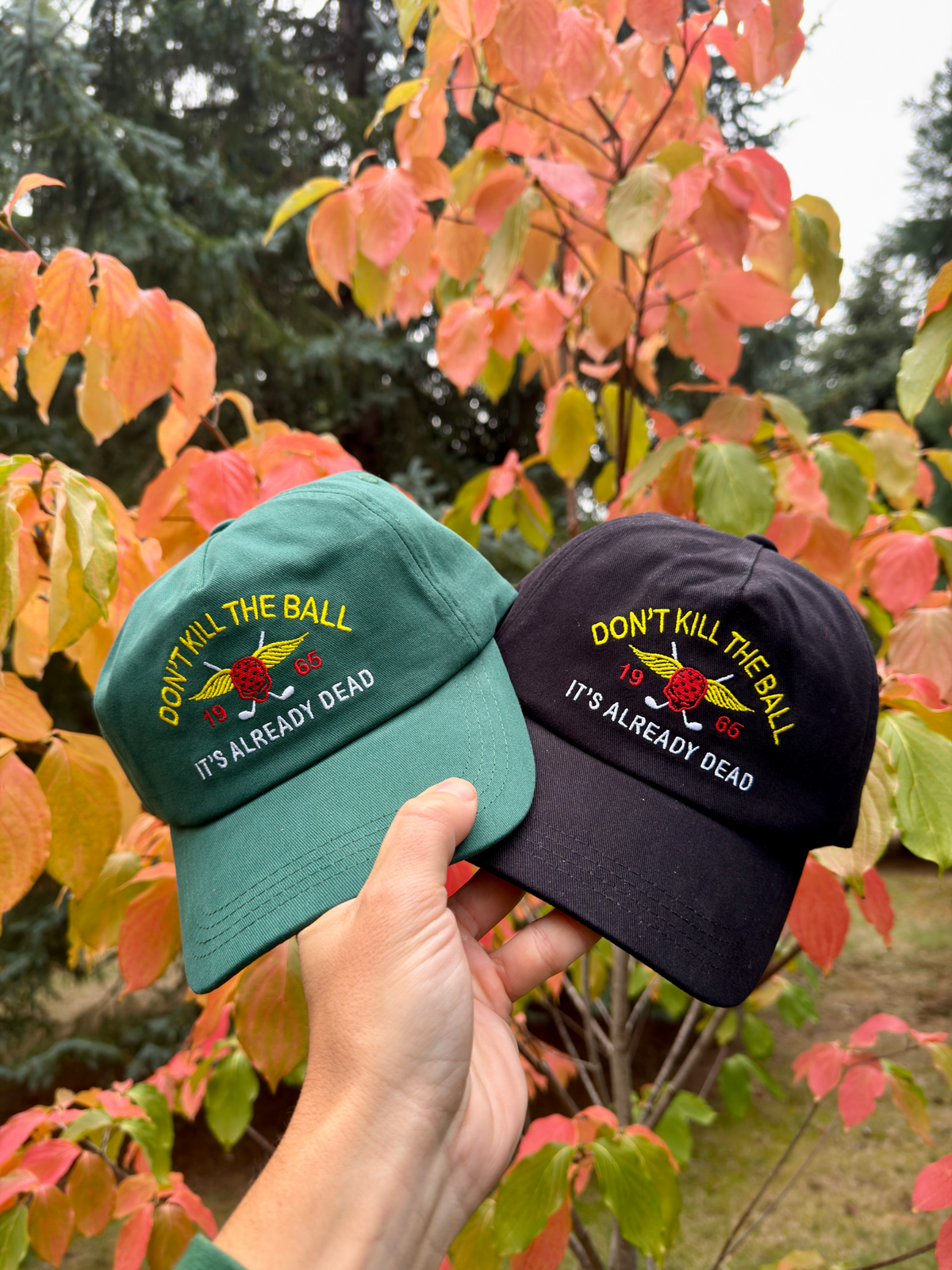 Don’t Kill the Ball Cap