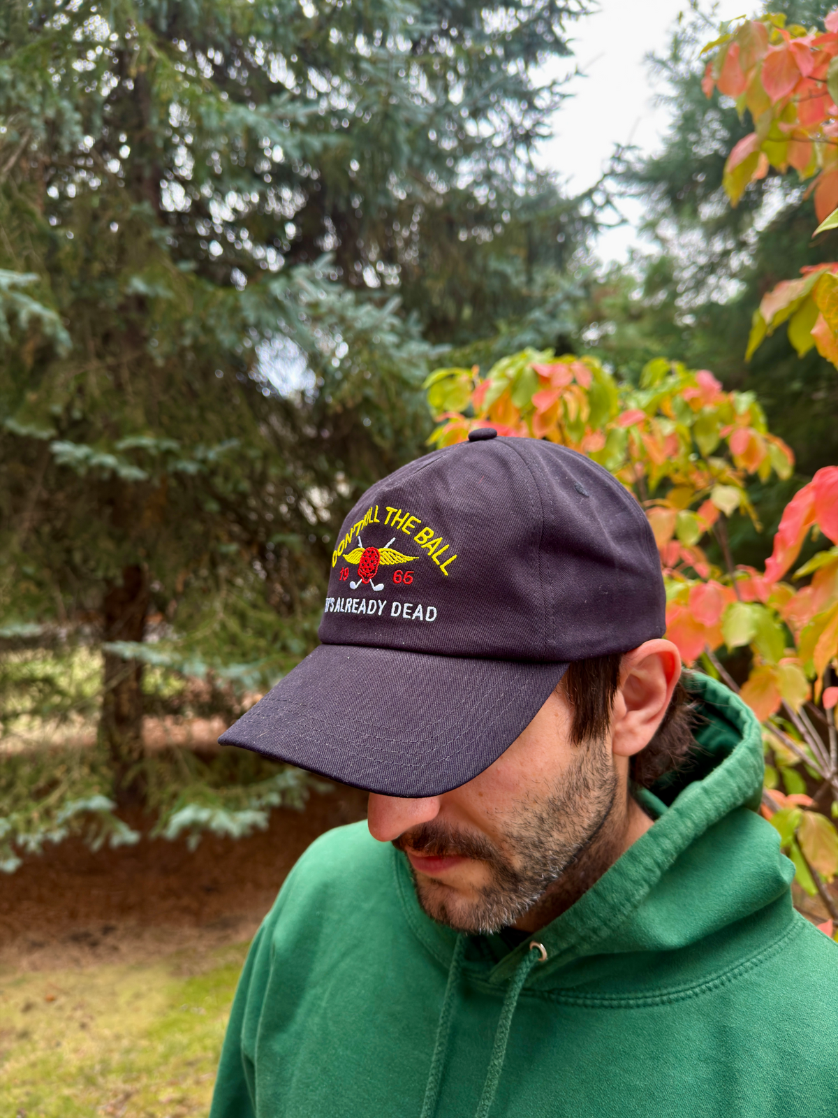 Don’t Kill the Ball Cap