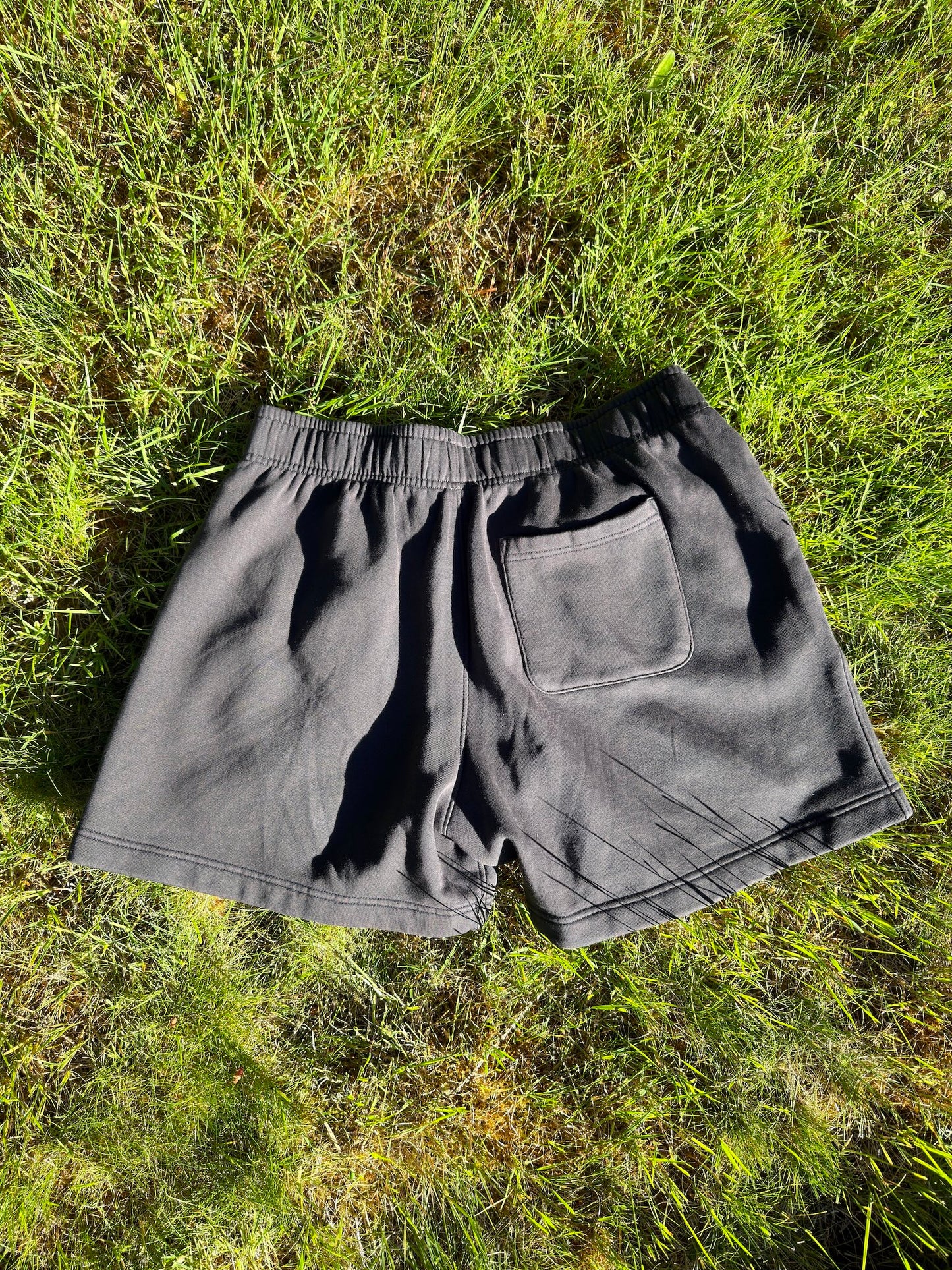 Portalsnake Shorts